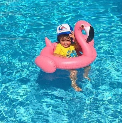 Flamingo Baby Pool Float