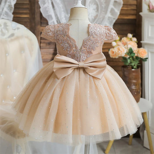 Big Bow Baby Girl Dress 1st Birthday Party Wedding Dress For Girl Palace Princess