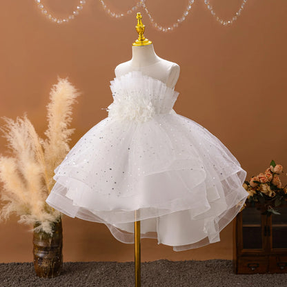 Flower Girl Dresses for Weddings Lace Kids Trailing Elegant Prom Galaxy Children